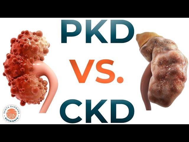 PKD vs CKD - What are the differences?