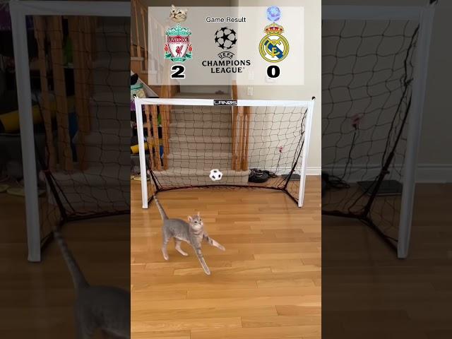 Cat Goalie - Liverpool vs Real Madrid | 2023 UEFA Round of 16 Leg 1 #cat #fyp