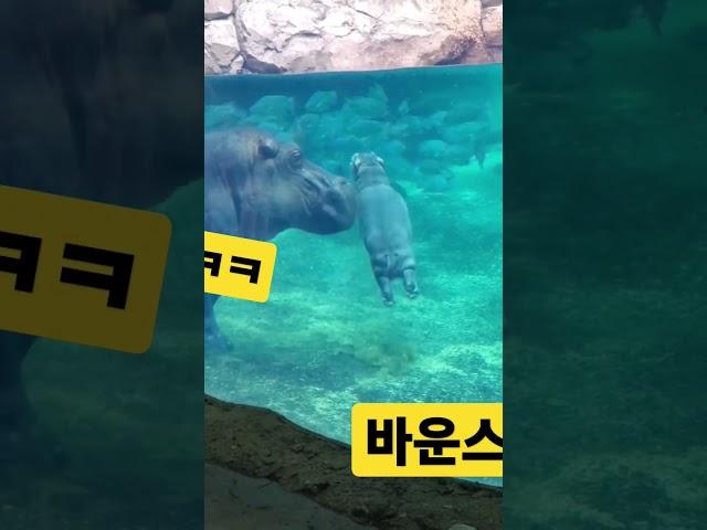 #쇼츠 #신기한영상 #신기한동영상