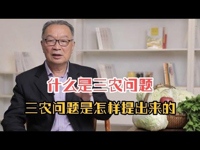 什么是三农问题？三农问题是怎样提出来的？听温铁军教授深入解析