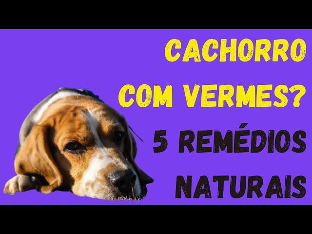 Dog with Worm? Learn what to do with 5 Natural Remedies