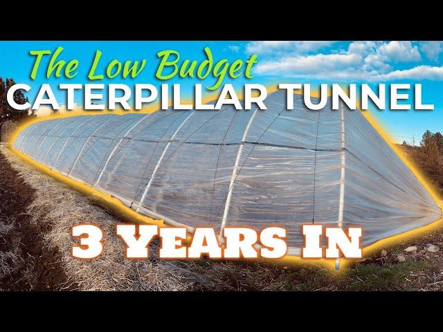 The Low Budget Caterpillar Tunnel // 3 Years In