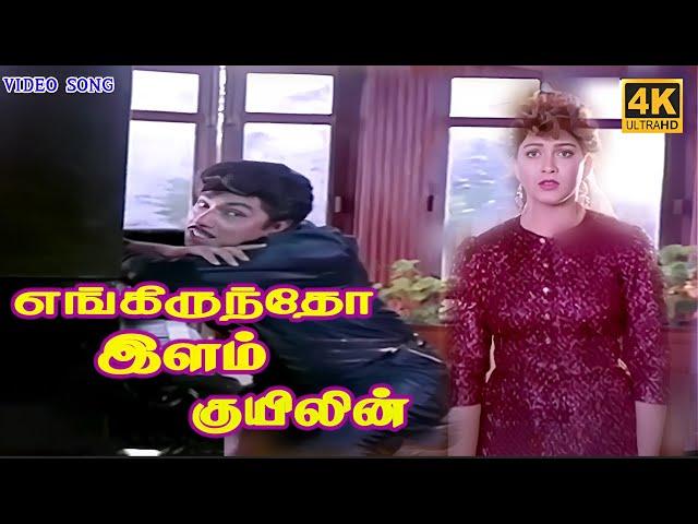 எங்கிருந்தோ இளங்குயிலின்|Engirundho ilangkuyilin|Sad Song|S. P. B|Ilayaraja|PS Thenisaii|