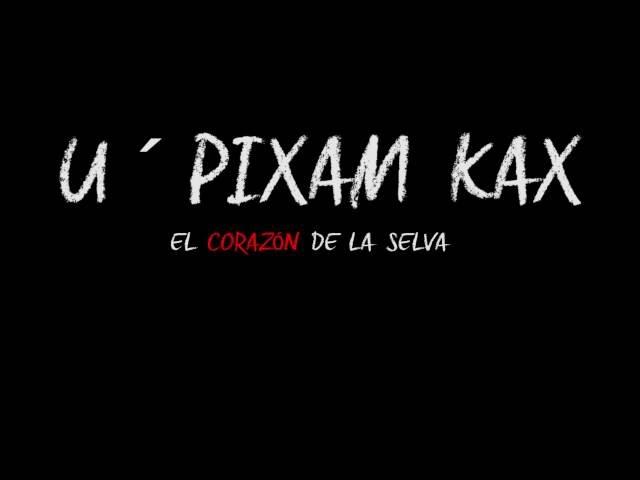 TRAILER U´ PIXAM KAX. ANASTASIA SONARANDA. NATURA MEXICANA Y COOPERATIVA HIBRYTS.