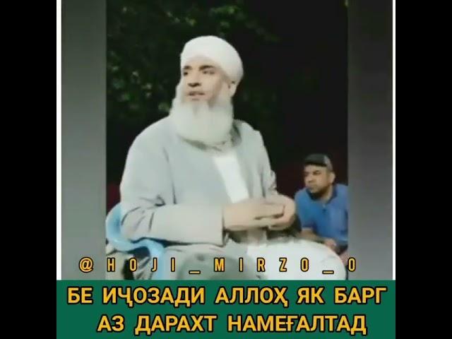 мавлави БОХТАРИ