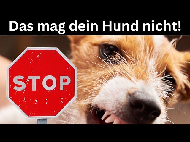 10 Dinge, die Hunde am Menschen nicht mögen 