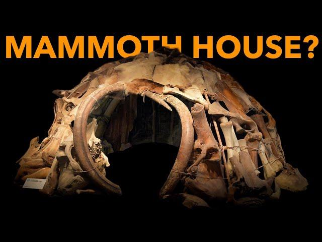 Were Mammoths Killed for Shelter in the Ice Age?