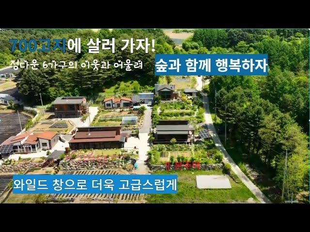 (전세 2억 가능)평창,해발700고지의 6가구 정답게 살고있는 청정 전원주택 . 넓은대지와 건축면적. 숲세권