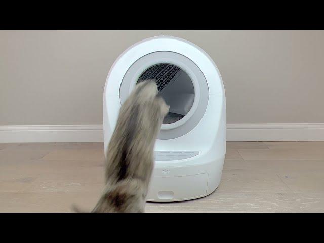 Leo's Loo Too: 30 second breakdown - By Casa Leo (previously Smarty Pear)