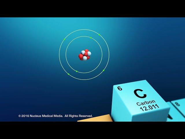 Overview of Organic Compounds