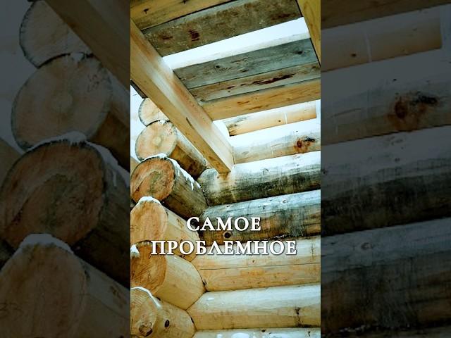 ИЗ ЭТОГО ДЕРЕВА НЕЛЬЗЯ СТРОИТЬ СРУБ! #сруб #деревянныйдом #домизбревна