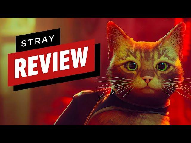 Stray Review