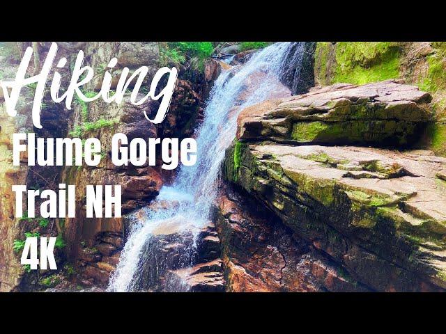 Hiking Flume Gorge Trail | Franconia Notch State Park NH 