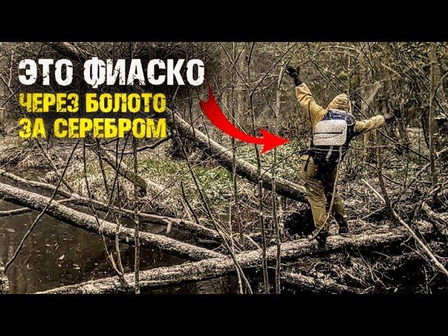 СЕРЕБРО ПОРТРЕТНОЕ ЗА БОЛОТОМ ЧЕРЕЗ РЕКИ СНЕГ ВЕТЕР СОЛНЦЕ