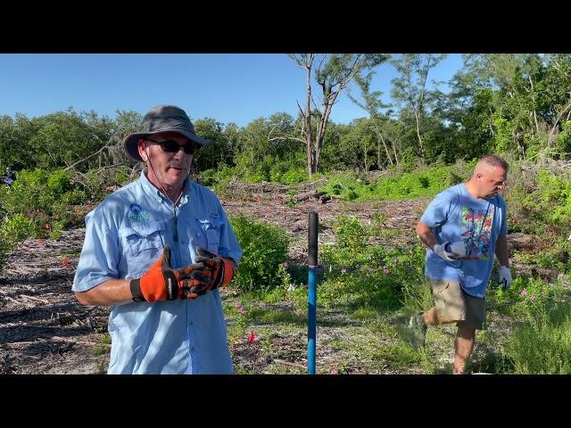Tidy Island Restoration