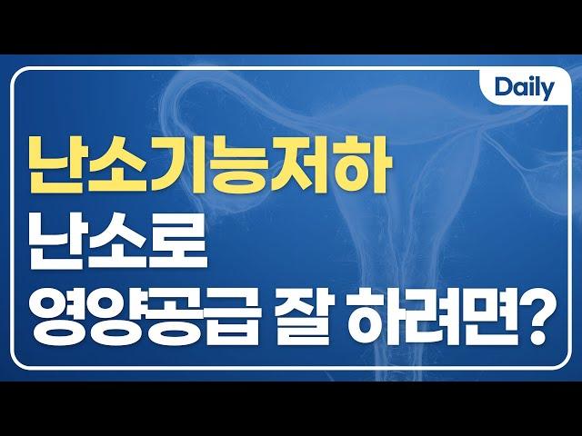 시험관아기 성공률 높이는 팁! 난소로 영양분을 잘 보내줘야 난포가 잘 성장합니다.