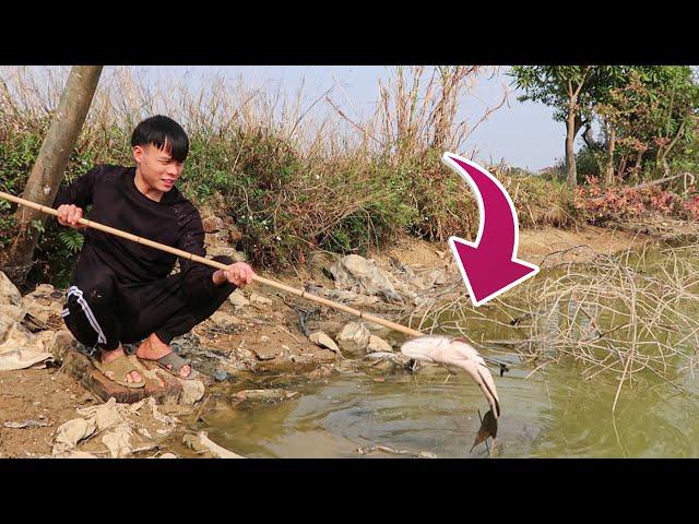 Bạn Sẽ Thèm Chảy Nước Khi Xem Video Này | Săn Cá, Chuột Đất Khủng bằng rỉa phi cá Lạ Vlog