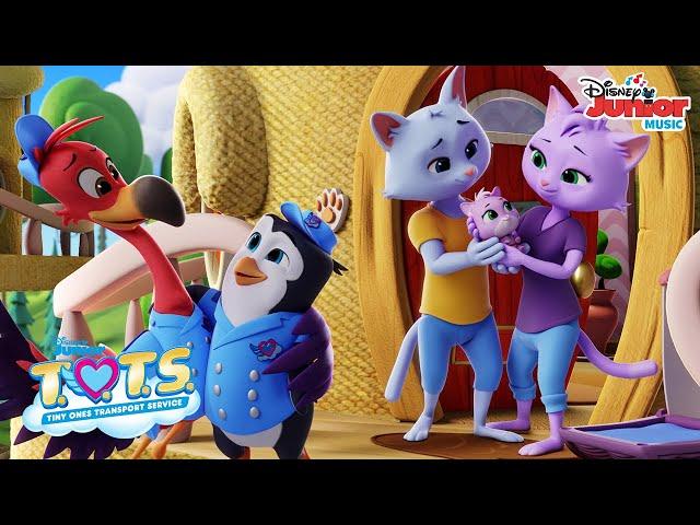 Theme Song  | T.O.T.S.  | Disney Junior