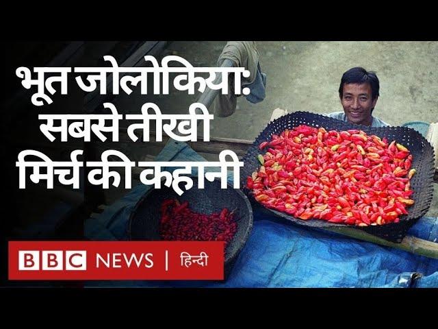 Bhoot Jolokia या Ghost Pepper या Raja Mirch, भारत की सबसे तीखी मिर्ची पूरी कहानी (BBC Hindi)