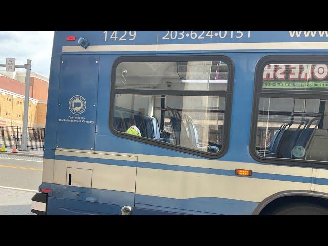 Ride on 2014 Nova Bus LFSA Artic Hybrid #1429 on Route 229 (3)