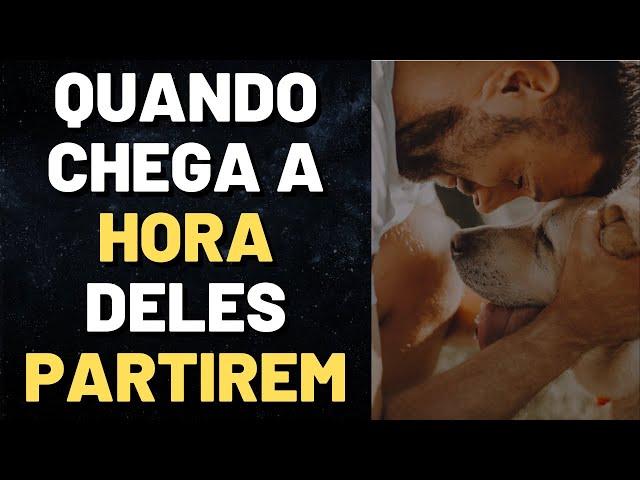 MORTE DOS ANIMAIS DE ESTIMAÇÃO NA VISÃO ESPÍRITA I Mensagem Espírita