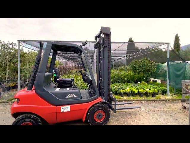 Carrelli elevatori Linde Diesel h25 h30 a firenze , Linde forklift www.toscanamuletti.it 3476129828