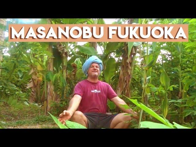 Using Masanobu Fukuoka's natural farming principals in a permaculture food forest ~ Krishna McKenzie