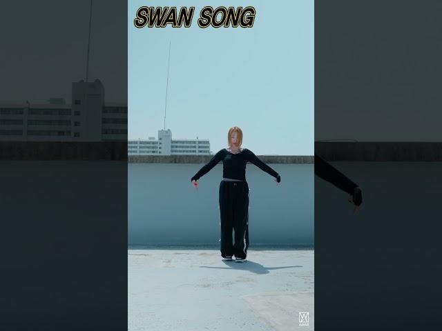 LESSERAFIM(르세라핌) - SWAN SONG #CHALLENGE #챌린지 #커버댄스 #shorts [와와댄스 마포본점]