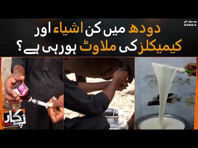 Doodh mein kin ashia aur chemicals ki milawat horahi hai ? - Pukaar - SAMAATV - 16 July 2022