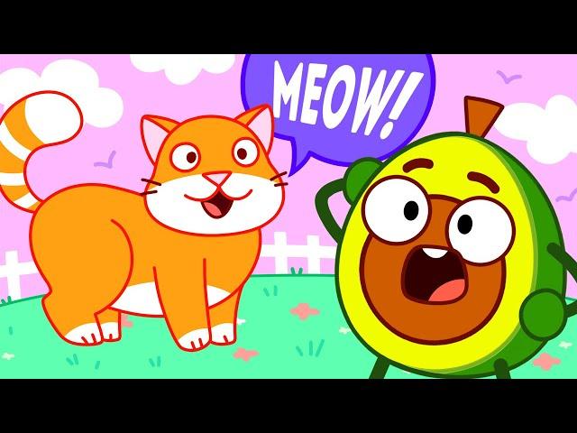 Take Care of Your Lovely Pets  Kids Learn Sounds || Best Cartoon by Pit & Penny Stories 