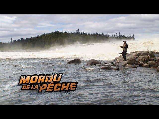 L'escalade des saumons Atlantique sur la rivière Natashquan   Mordu de la Pêche