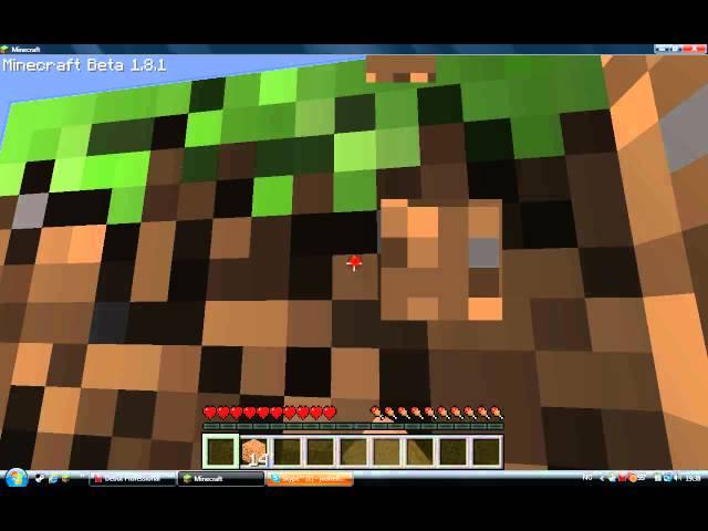 minecraft er best