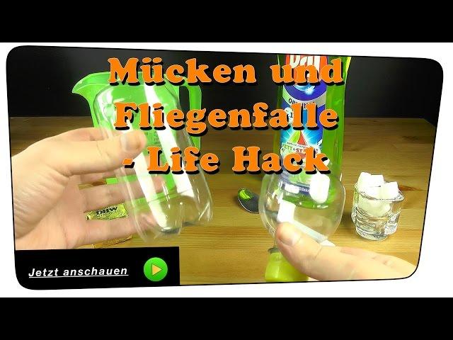 Beste Mücken und Fliegenfalle selber bauen - Life Hack | DIY