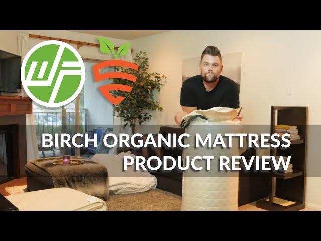 Birch Organic Mattress | Product Review (Wellness Force)