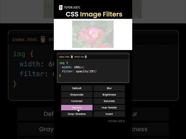 CSS Image Filters #css  #tutorjoes