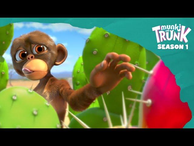 Prickly Situation – Munki and Trunk Season 4 #7