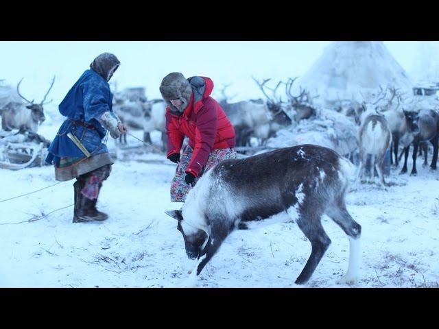 BBC Living with Nomads 2/3 Siberia