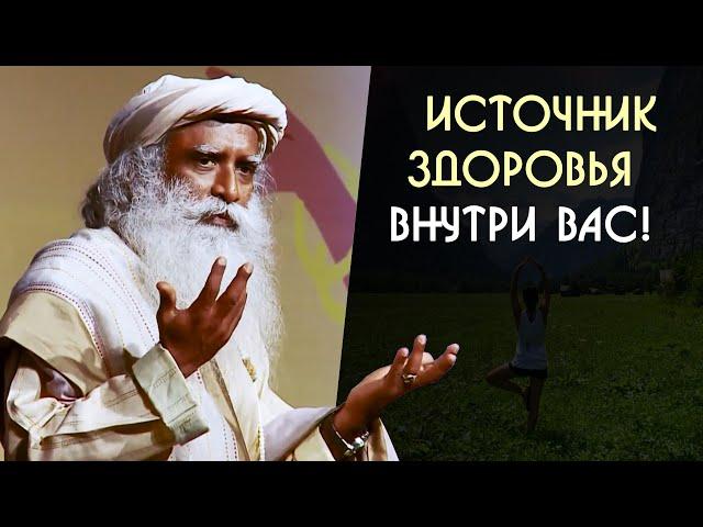 Здоровье человека в партнерстве с источником творения - Садхгуру на Русском