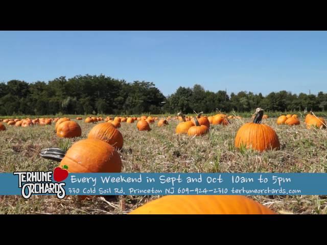 Fall Family Festival Weekends at Terhune Orchards