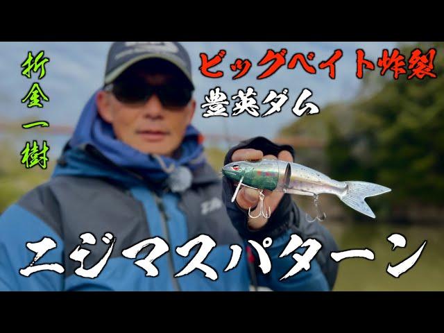 [Rainbow trout pattern] Big bait explosion at Toyoei Dam bass fishing [Kazuki Orikane]