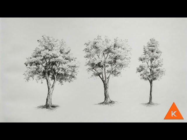 Easy tree sketch step by step