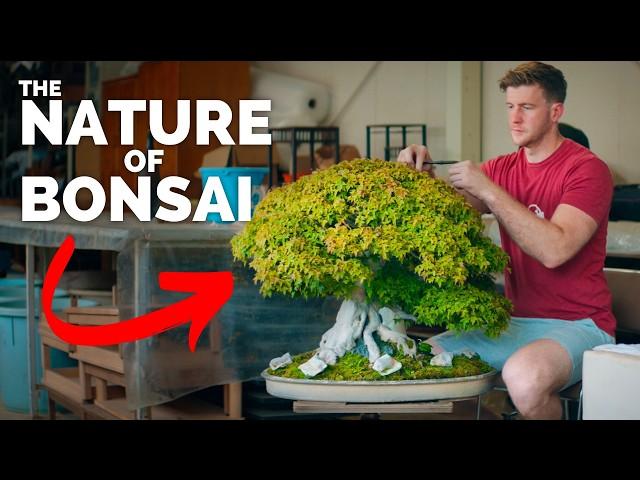 THE NATURE OF BONSAI