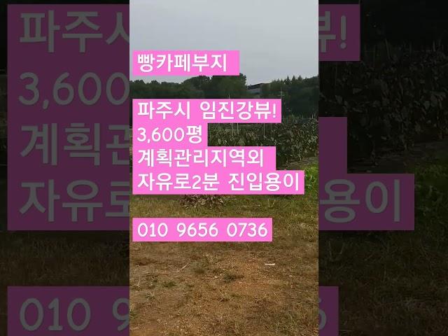 2024.4.26빵카페부지(파주시  임진강뷰!)자유로접근성 및 홍보효과굿!