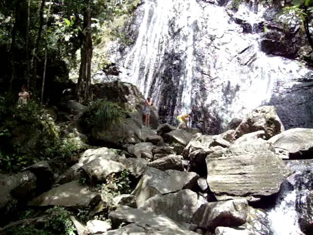 La Coca Falls in El Yunque Puerto Rico