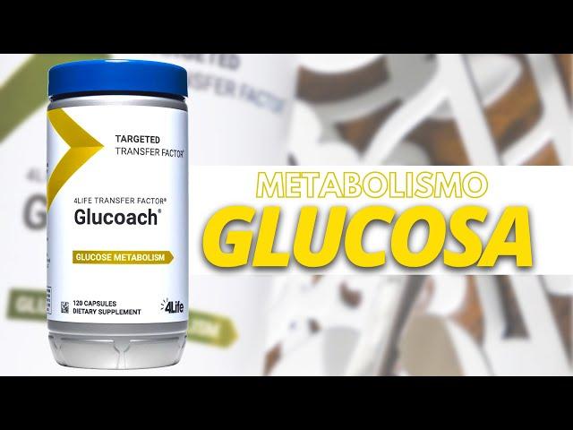 4Life Transfer Factor – Respaldo al equilibrio saludable de la Glucosa