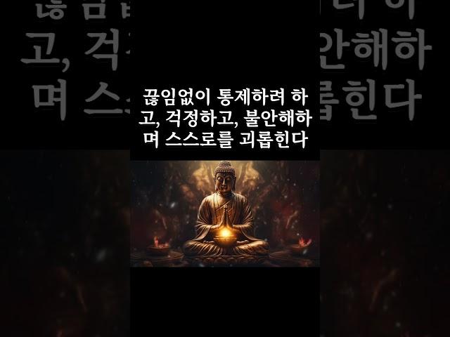 너무 걱정하지 말라, 순리대로 살아라|오디오북|철학과지혜|지혜의 등불 #명언 #자기수행 #고전