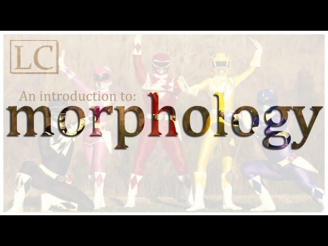 An Introduction to Morphology