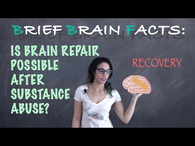 Can The Brain Recover From Addiction