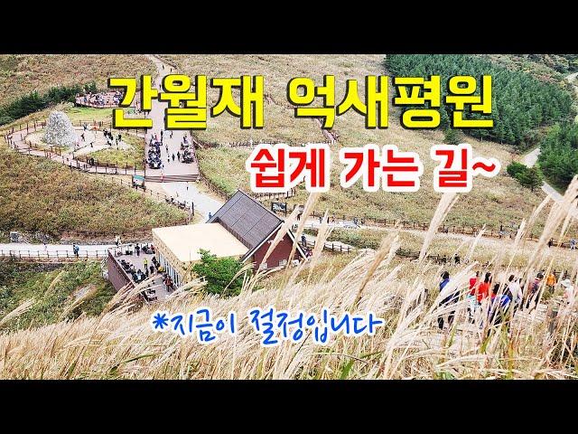 10월에 간월재를 꼭 가야하는 이유? 가장 가기 쉬운 코스로 지금 다녀오세요!!