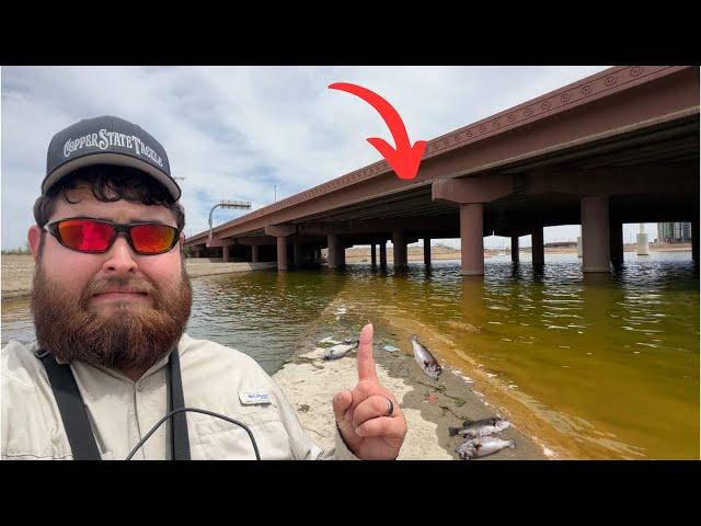 Fishing the Most POLLUTED Lake in Arizona...